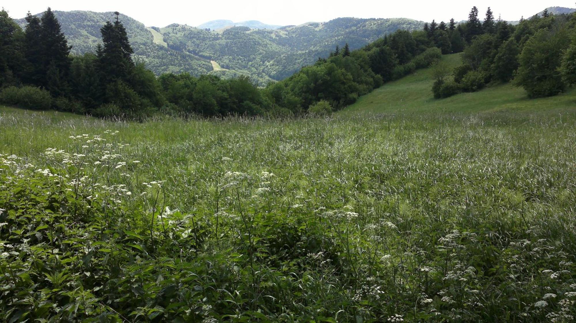 Apartmany Weissov Dom Banska Stiavnica Bagian luar foto